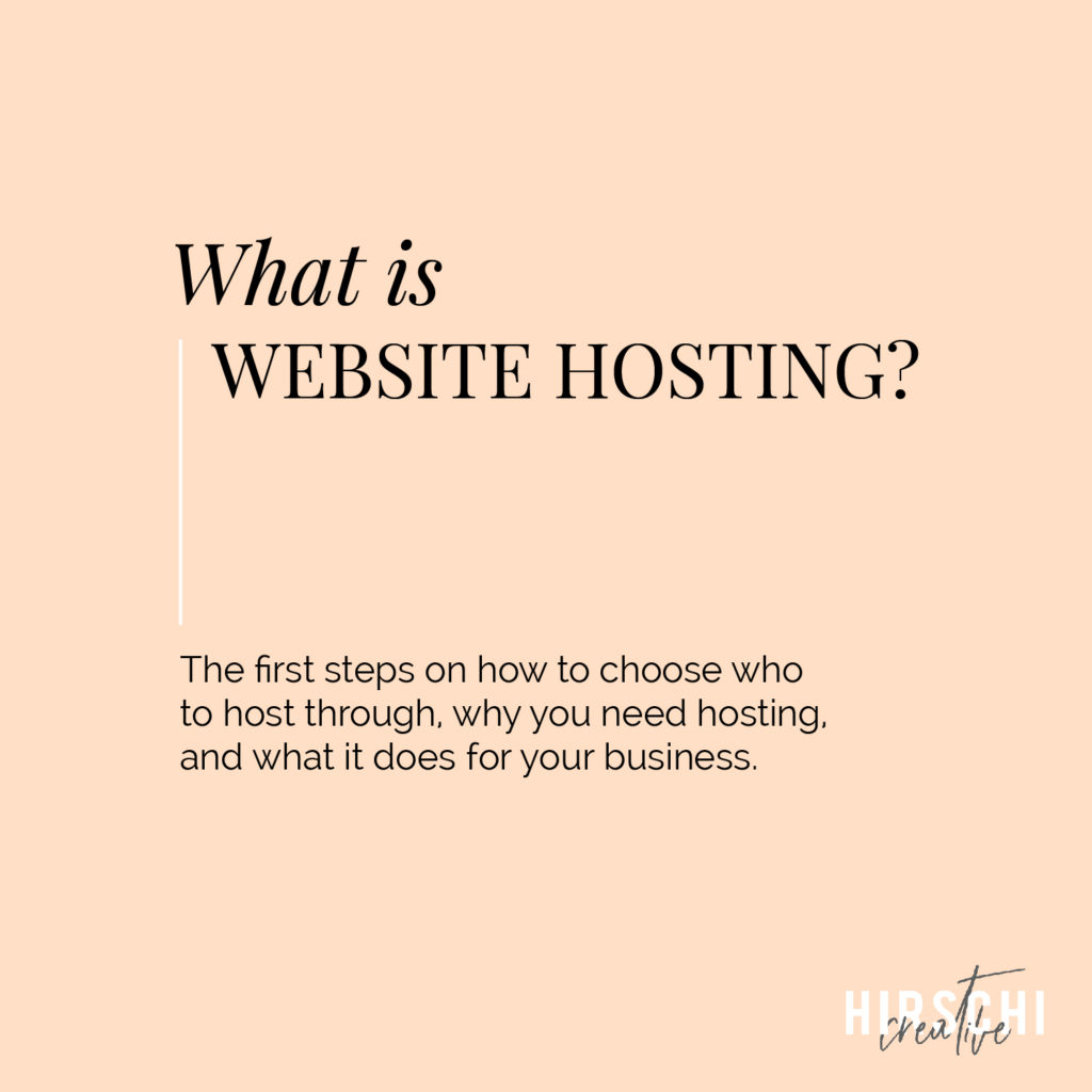what is website hosting