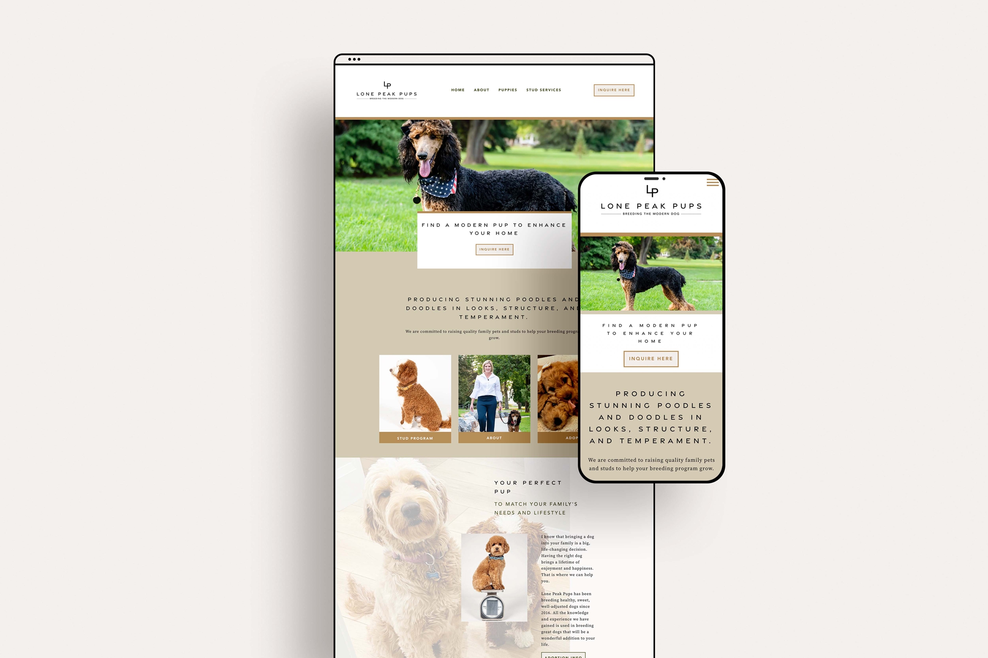 Dog Breeder Website